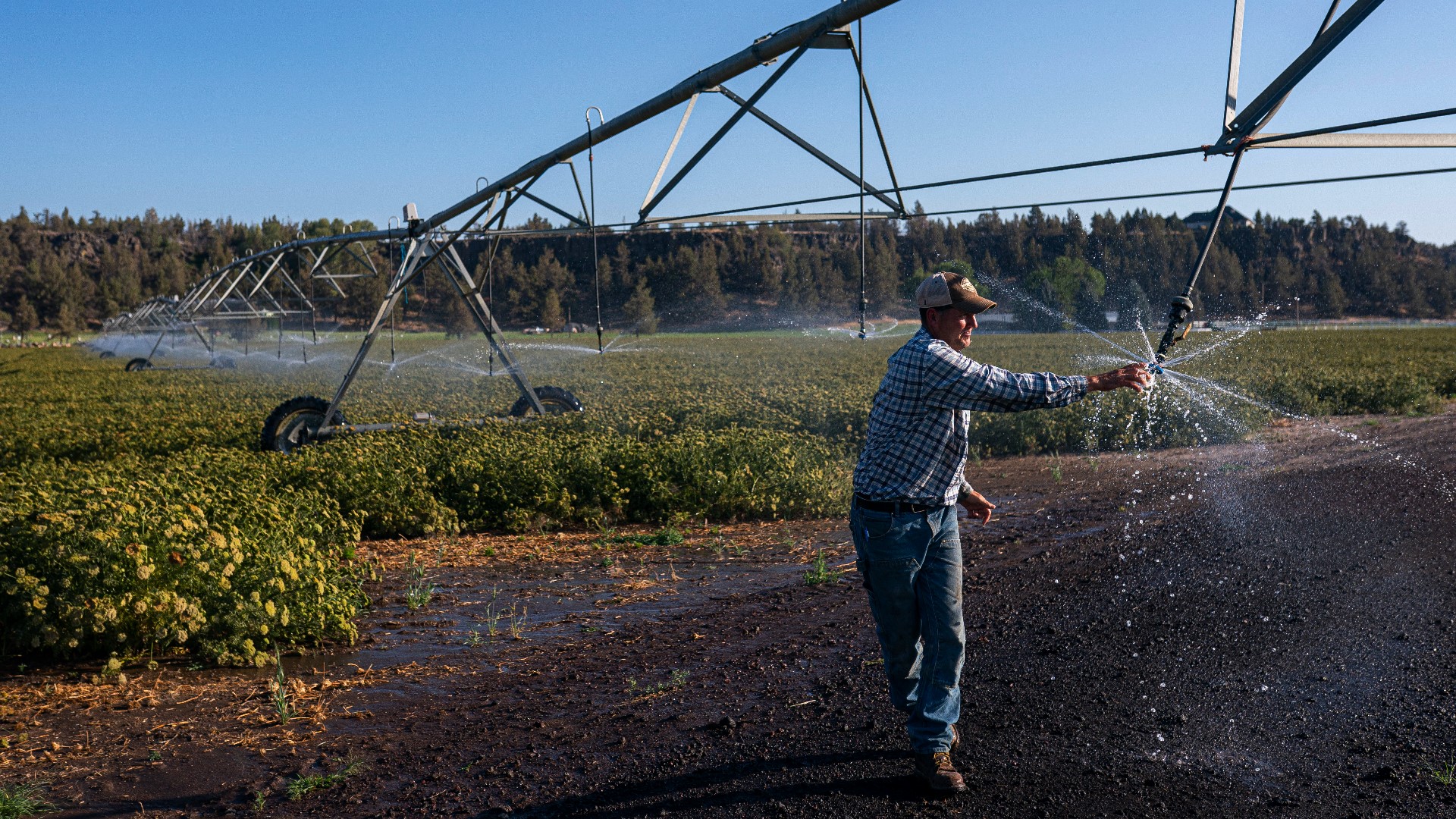 Farmers Weigh How To Share Water During Oregon Drought Kgw
