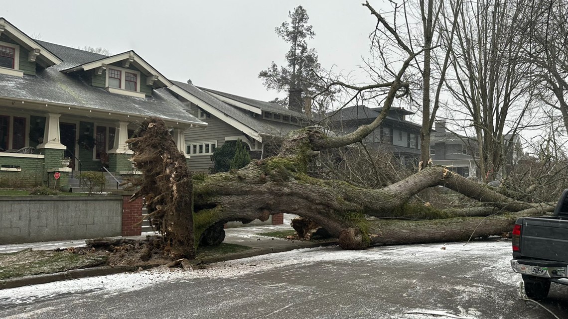 More than 100,000 customers without power: Portland winter storm - Vimarsana News