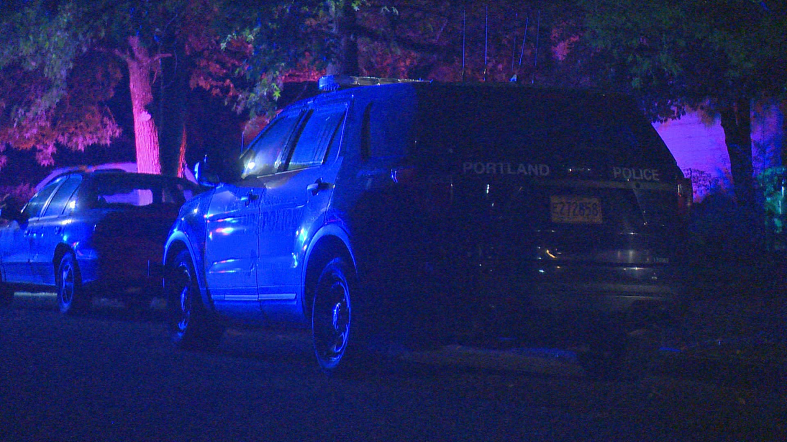 Portland police report 13 shootings in 28 hours - Vimarsana News