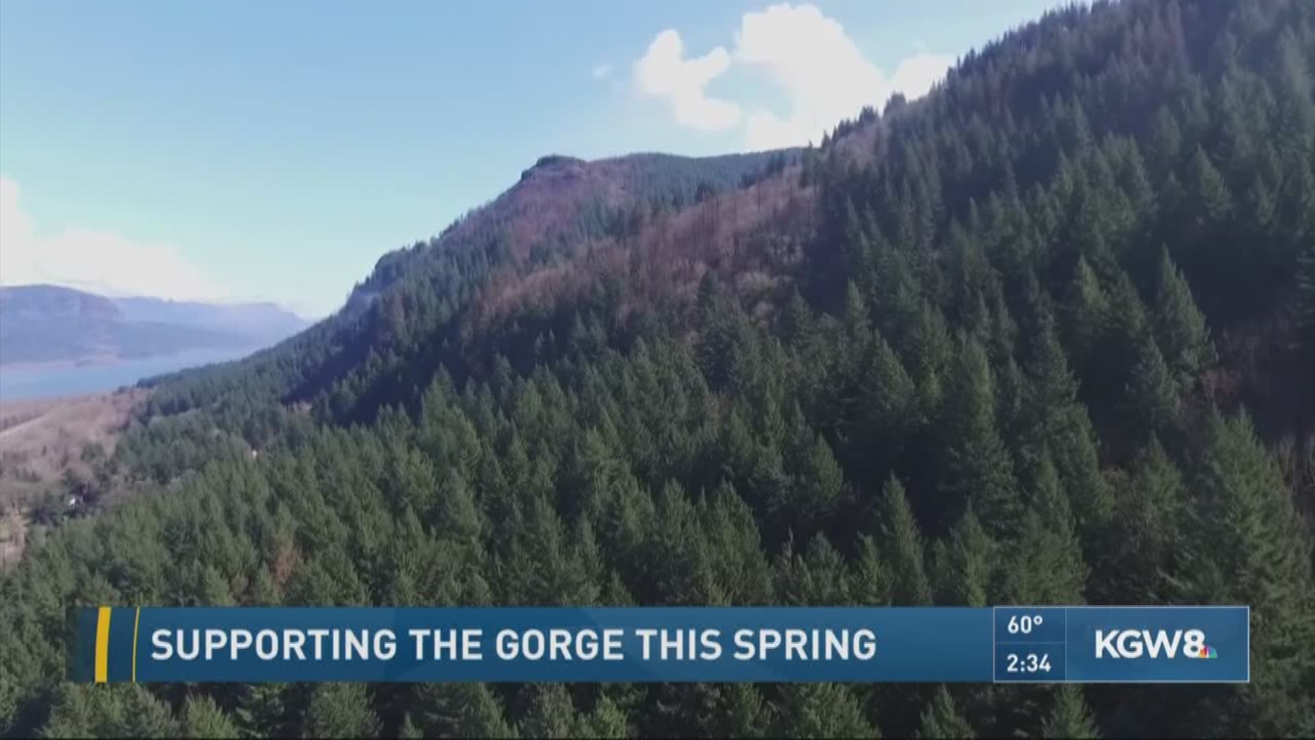 Supporting the Gorge this spring 