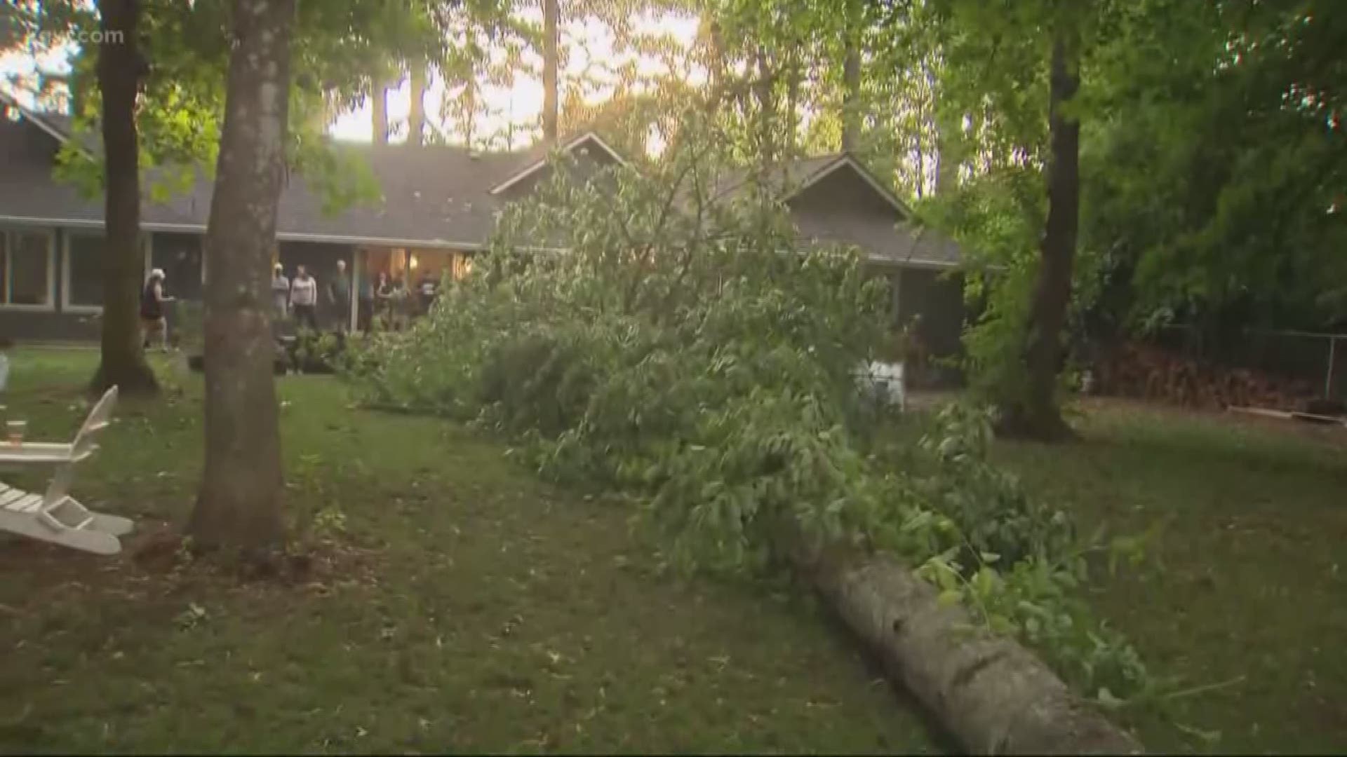 Damaging storms thunders through area