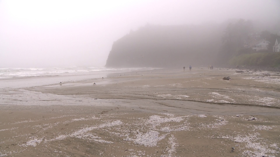 ‘Coast Like a Local’ campaign aims to reshape visitor behavior along Oregon Coast