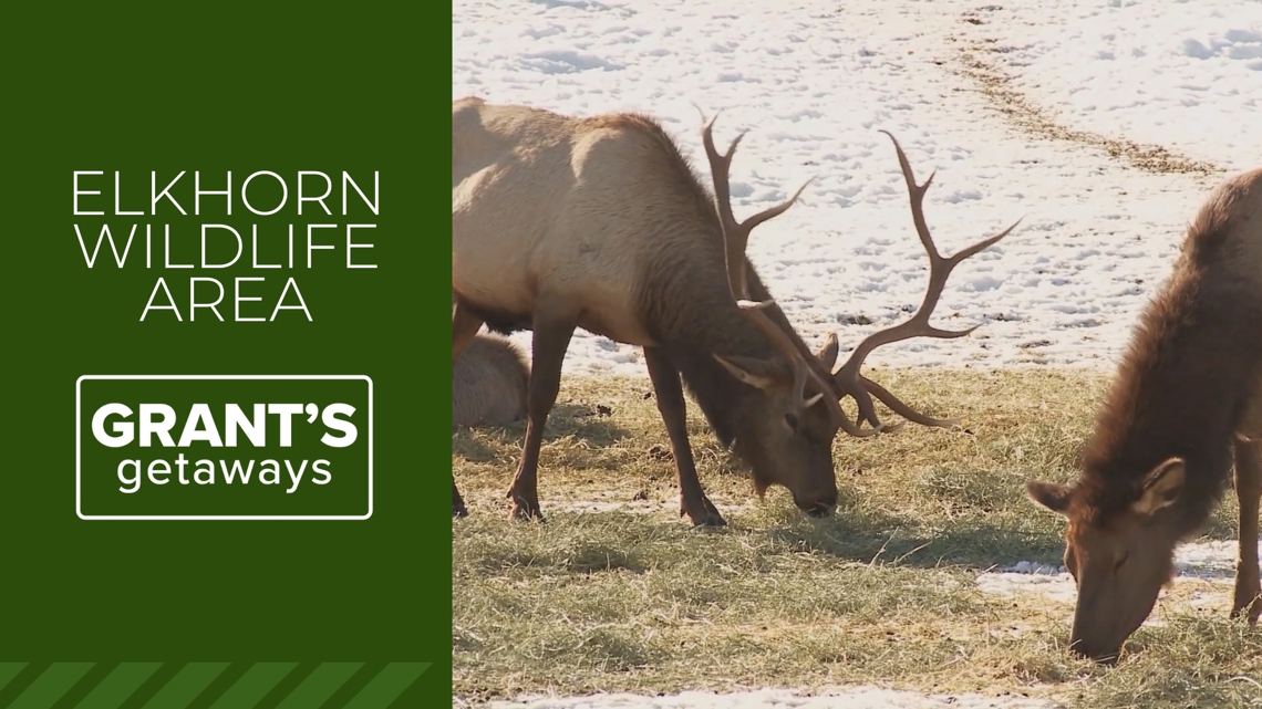 Eastern Oregon's Elkhorn Wildlife Area offers stunning views of nature ...