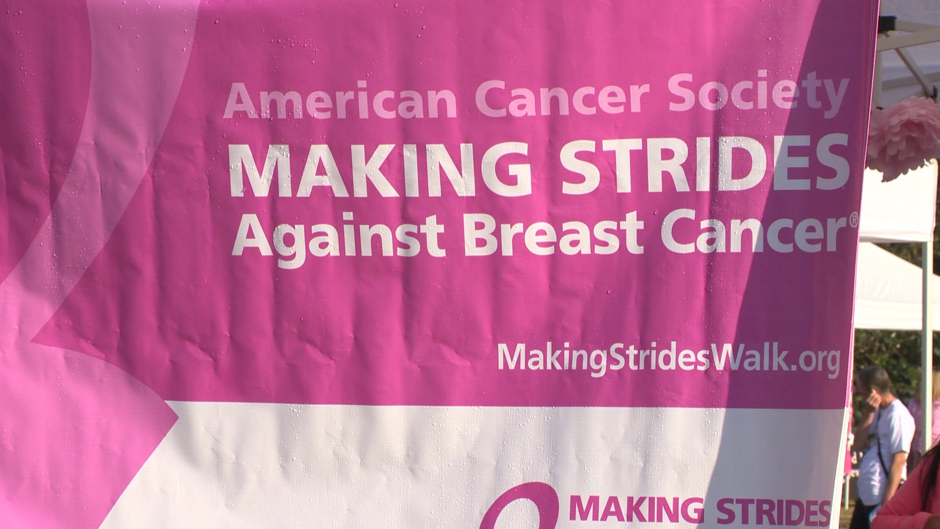 Making Strides Breast Cancer