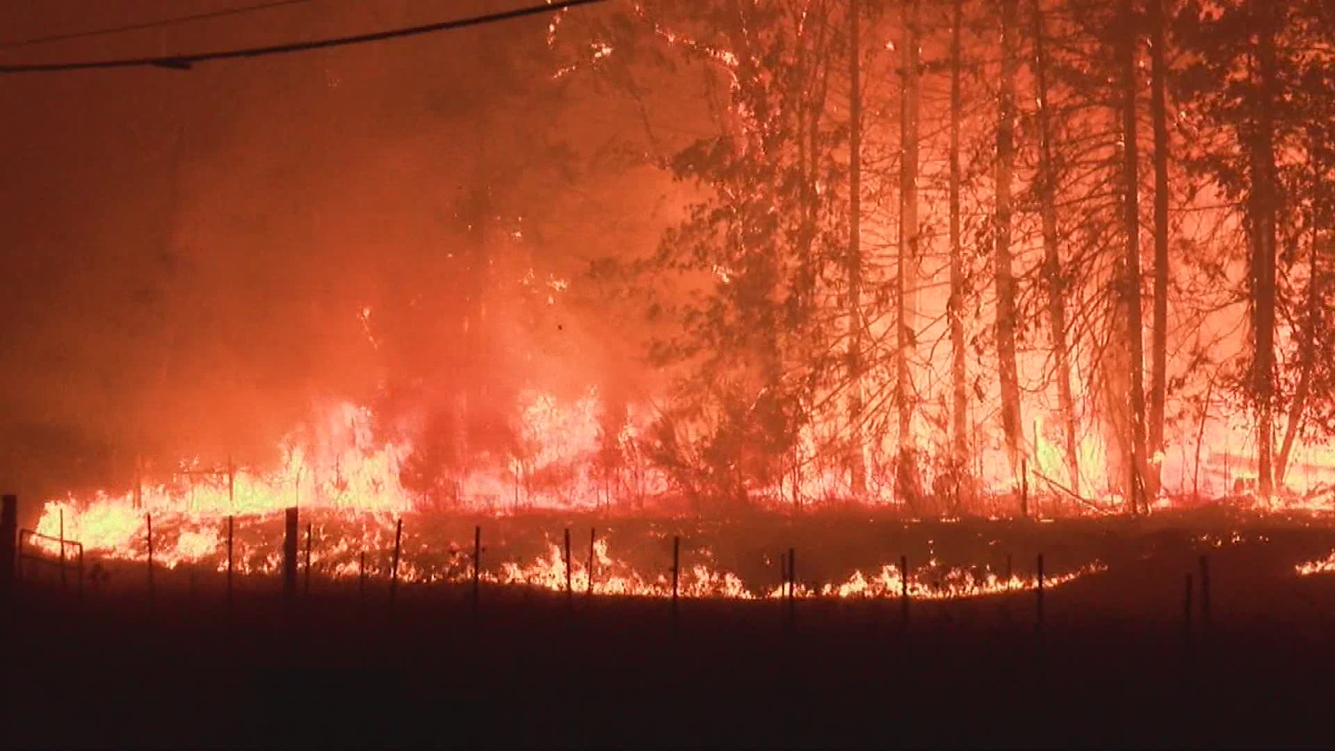 Ahead of the 2021 wildfire season, Oregon's Public Utility Commission has approved temporary power shutoffs to prevent wildfires.