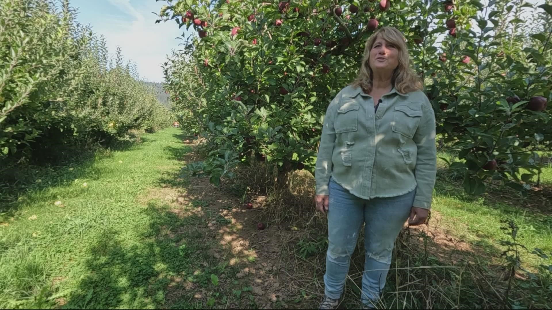 This week for Let's Get Out There, our host visits Draper Girls country farm in Hood River to go apple picking