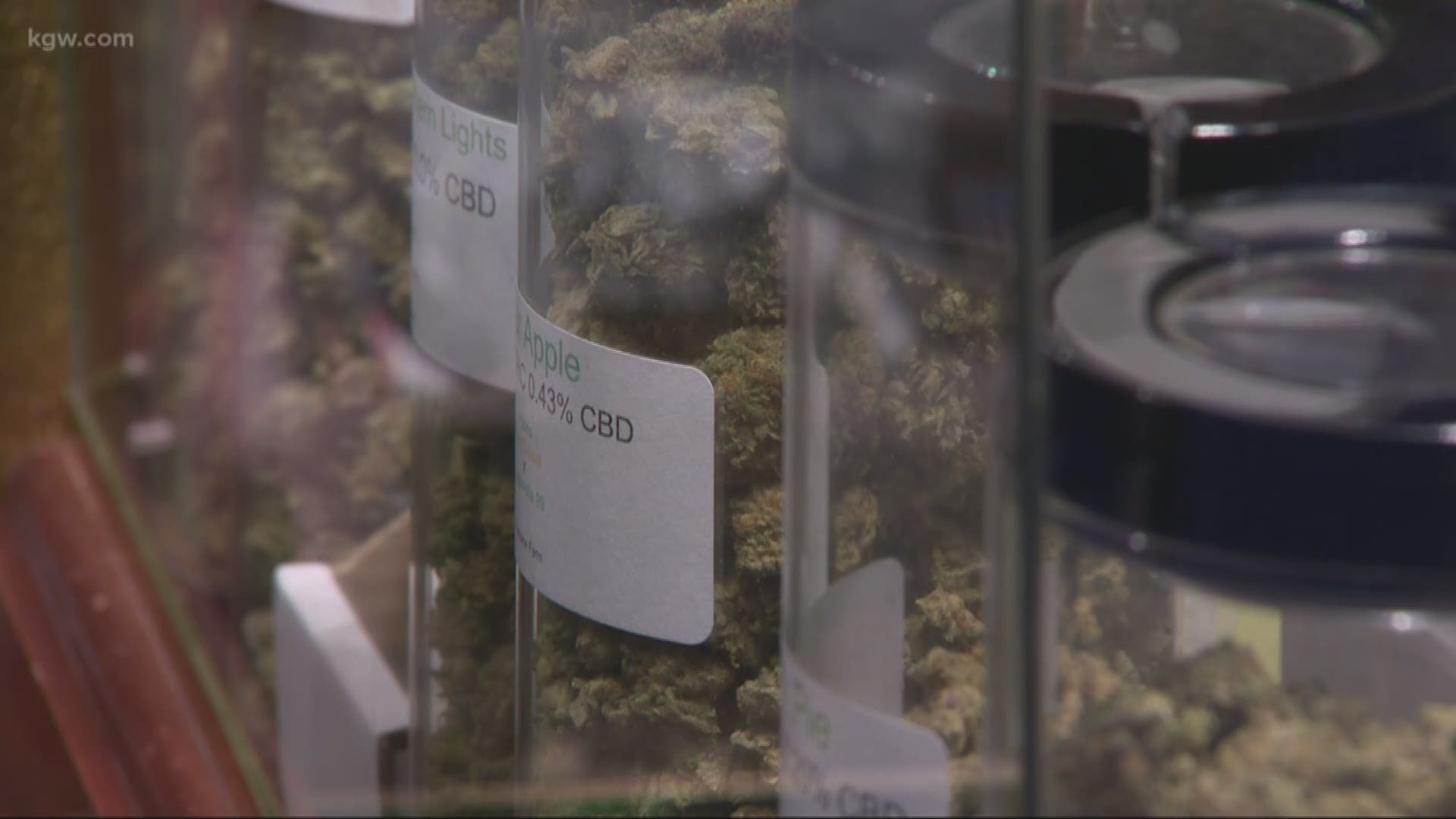 Women have played a key role in the booming business of cannabis in Oregon. The number of women in executive roles in the state is higher than the national average. But the number is in a steady decline: https://on.kgw.com/2GzwAUQ