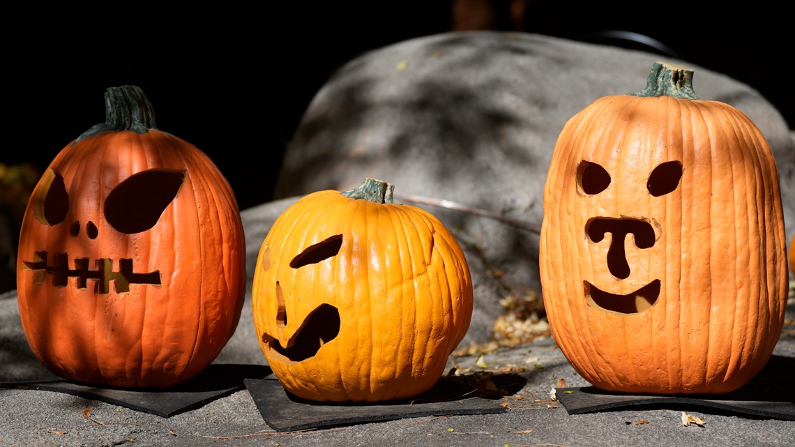 Oregon farm sanctuaries accepting pumpkins