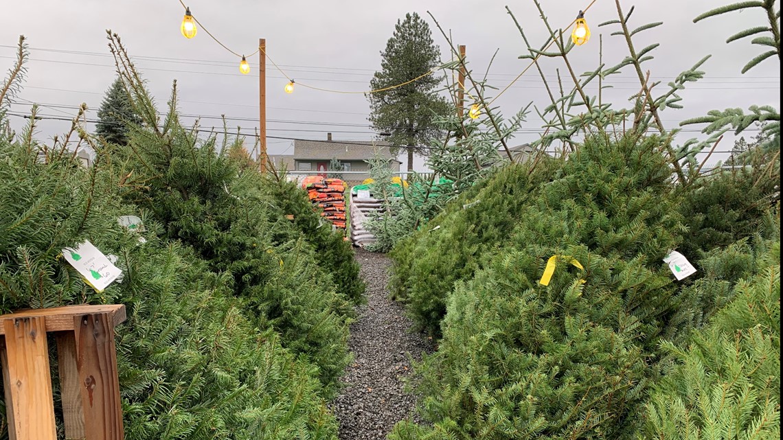 How inflation could affect the price of your Christmas tree