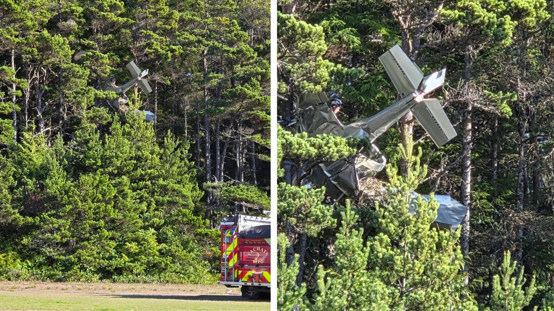 A single-occupant plane crashed at Wakonda Beach Airport in Waldport, becoming stuck up in the nearby tree canopy.