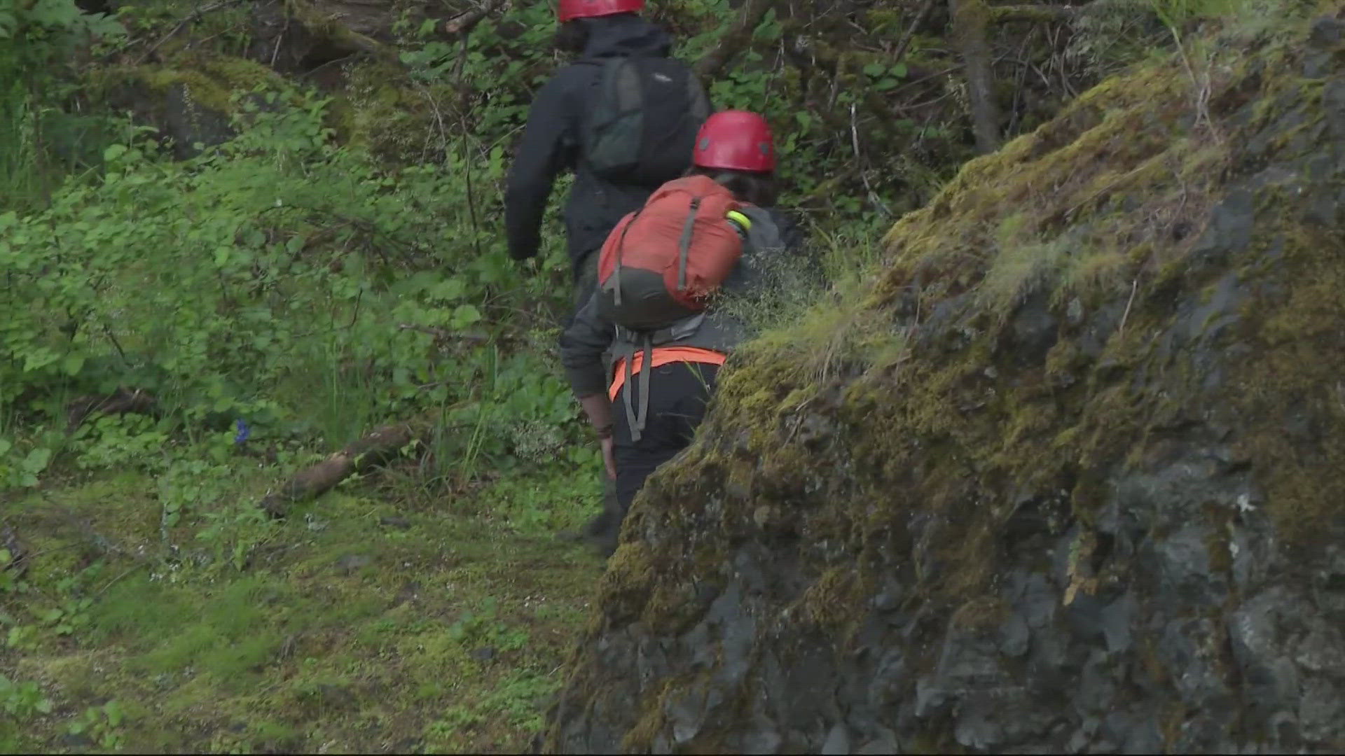 Authorities responded to reports of a hiker falling along the Oneonta Trail on Sunday afternoon, according to the Multnomah County Sheriff’s Office.