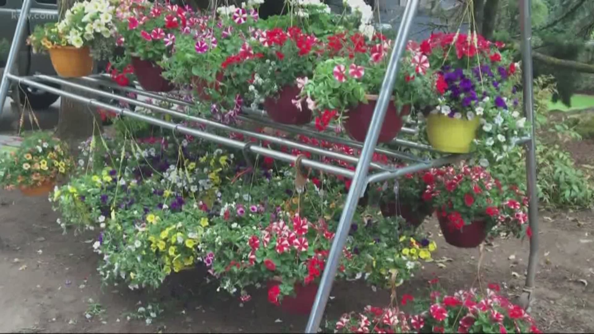 A Vancouver man is suspected of stealing plants from garden stores.