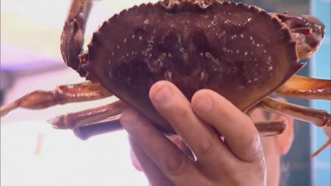 Oregon crab season breaking revenue records