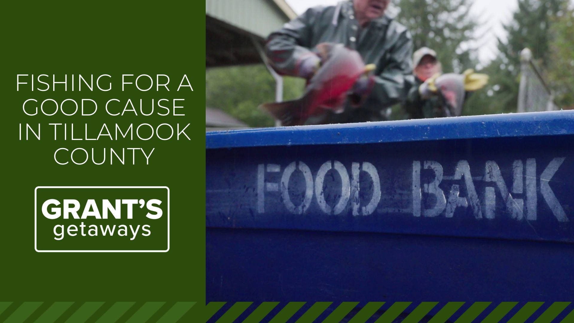 Coho salmon from the North Fork Nehalem hatchery are caught, processed and packaged by the community for Tillamook County food banks.