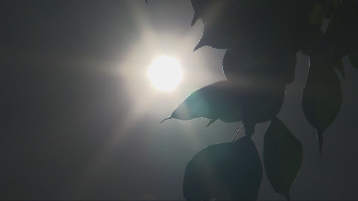 More details on who died in heat wave