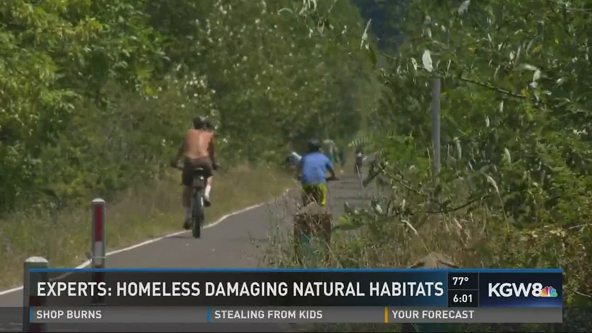 Experts: Homeless damaging natural habitats