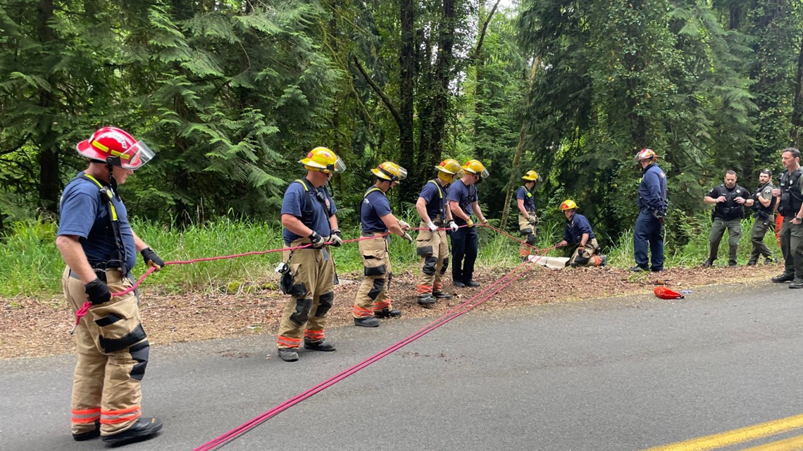 Man rescued from vehicle in ravine five days after going missing - Vimarsana News