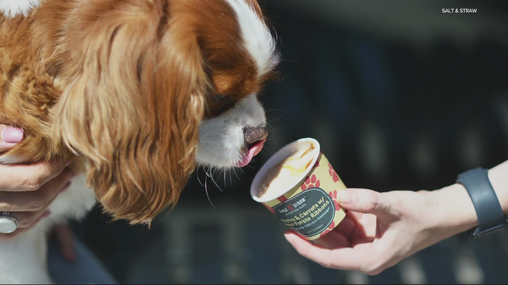 The Portland ice cream chain is known for its inventive menu. Now, the shops will serve up scoops customized for dogs.