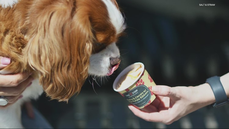 For National Dog Day, Salt & Straw releases first ice cream for dogs