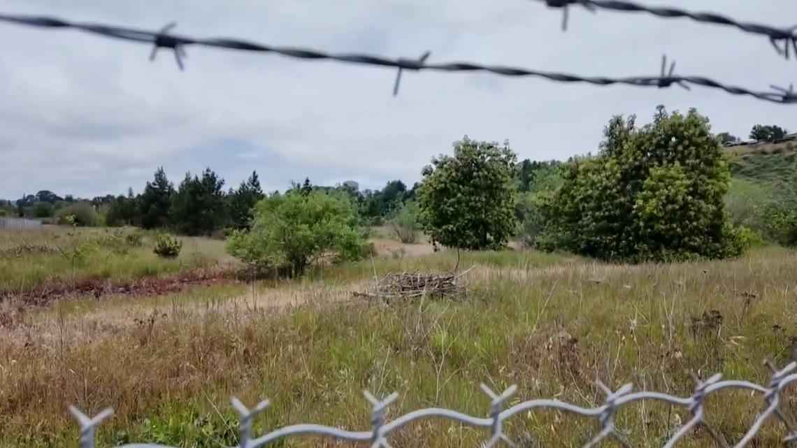 Proposed botanical garden could transform former North Portland superfund site