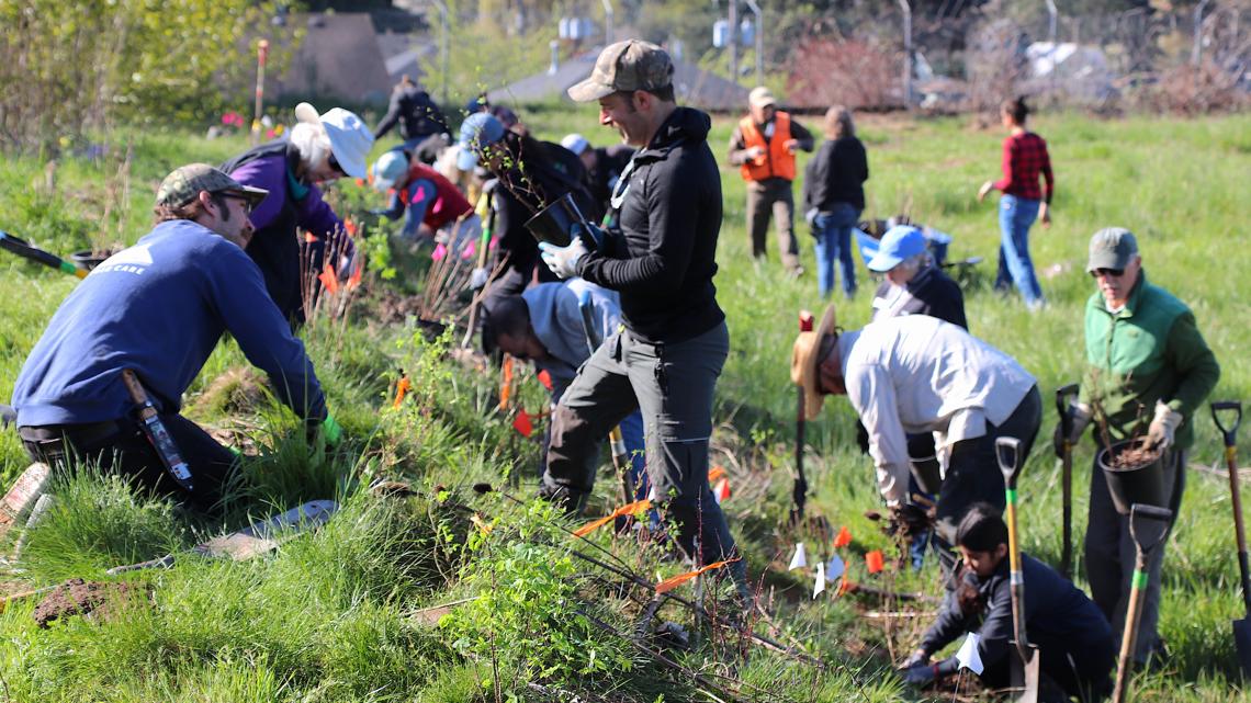 Bird Alliance of Oregon begins transforming former landfill on 82nd into nature sanctuary