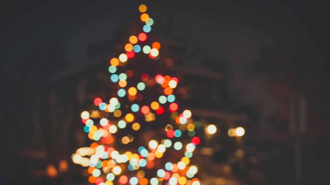 Zoo Lights, Silverton Christmas Market, 41st Annual Portland Tree Lighting Ceremony, Winter Wonderland and more: What to do this weekend