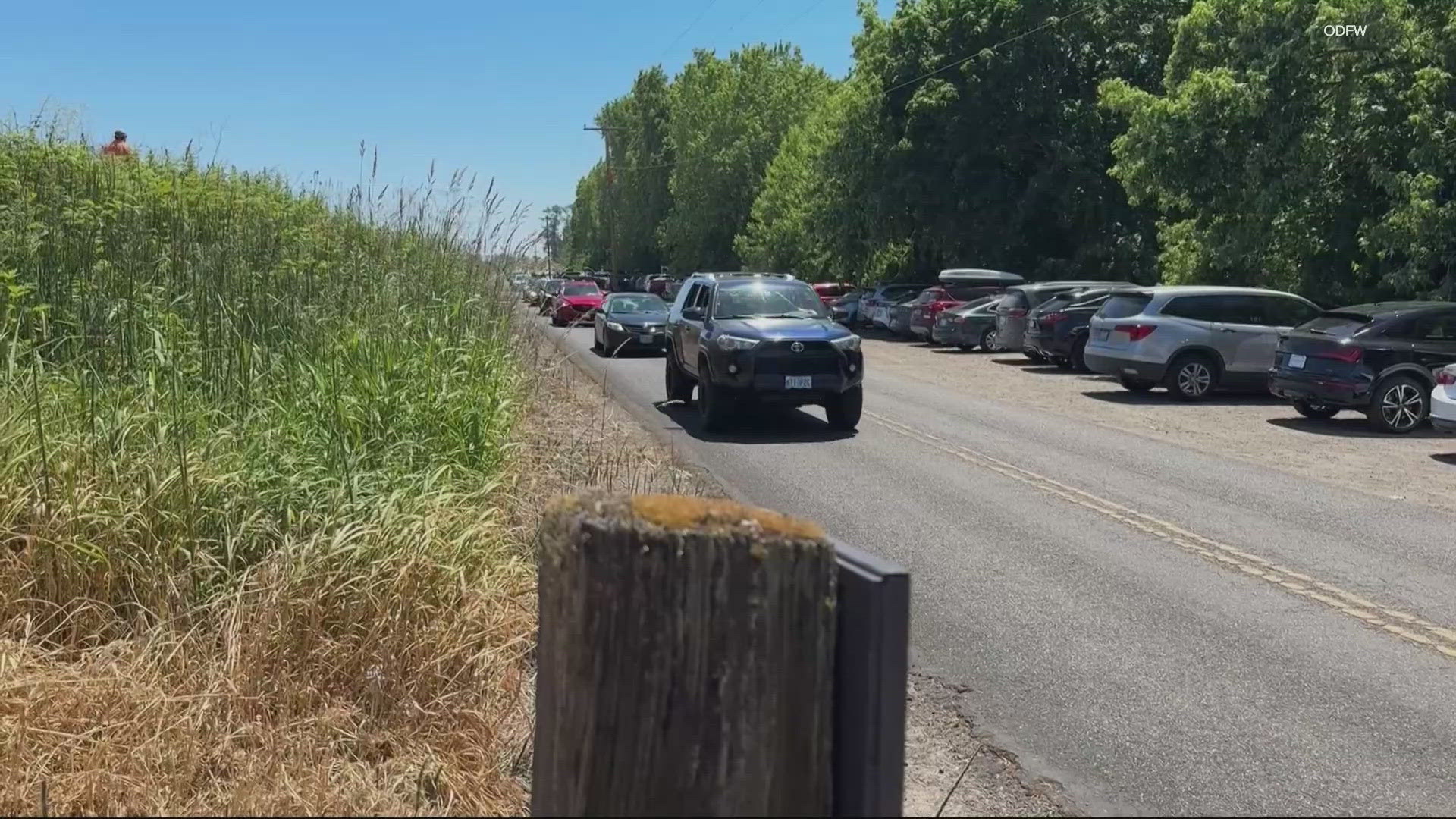 Starting July 4, a free beach pass is needed to park in the area, in addition to the $10 parking permit.
