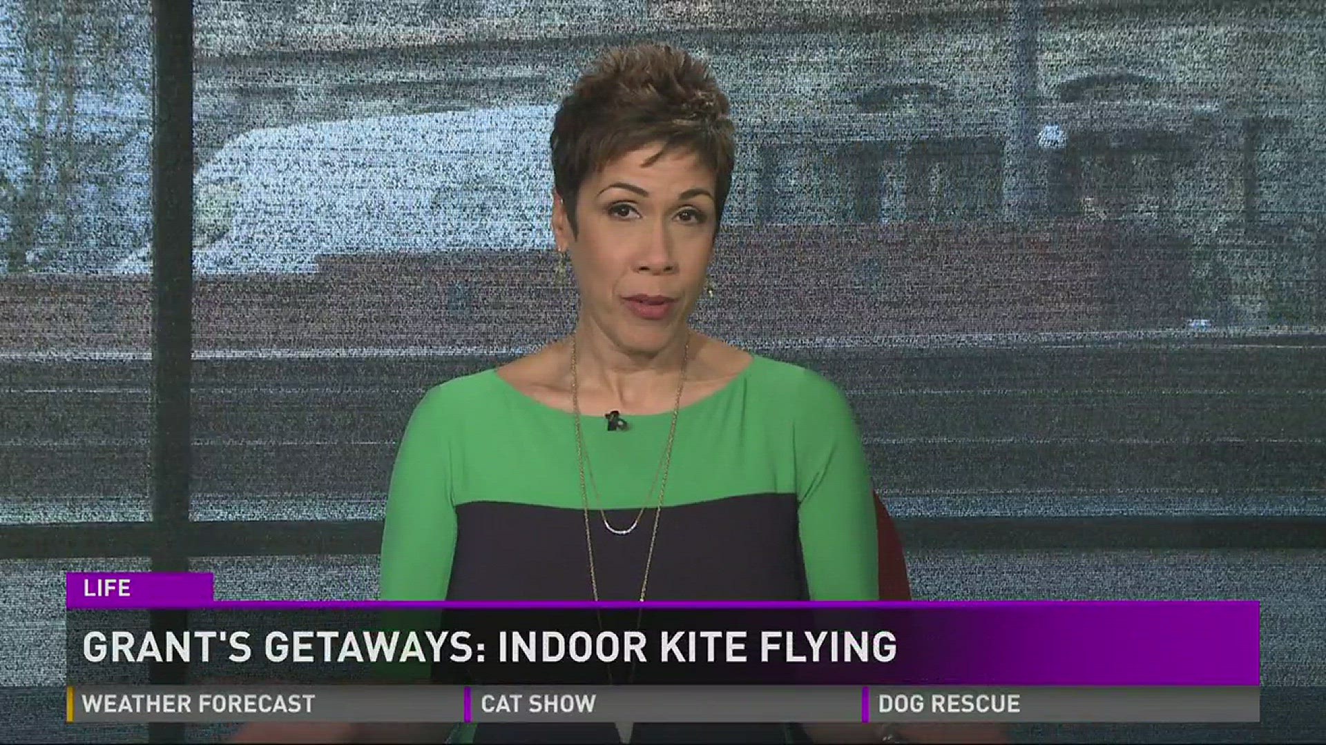 Grant's Getaways: Flying kites indoors