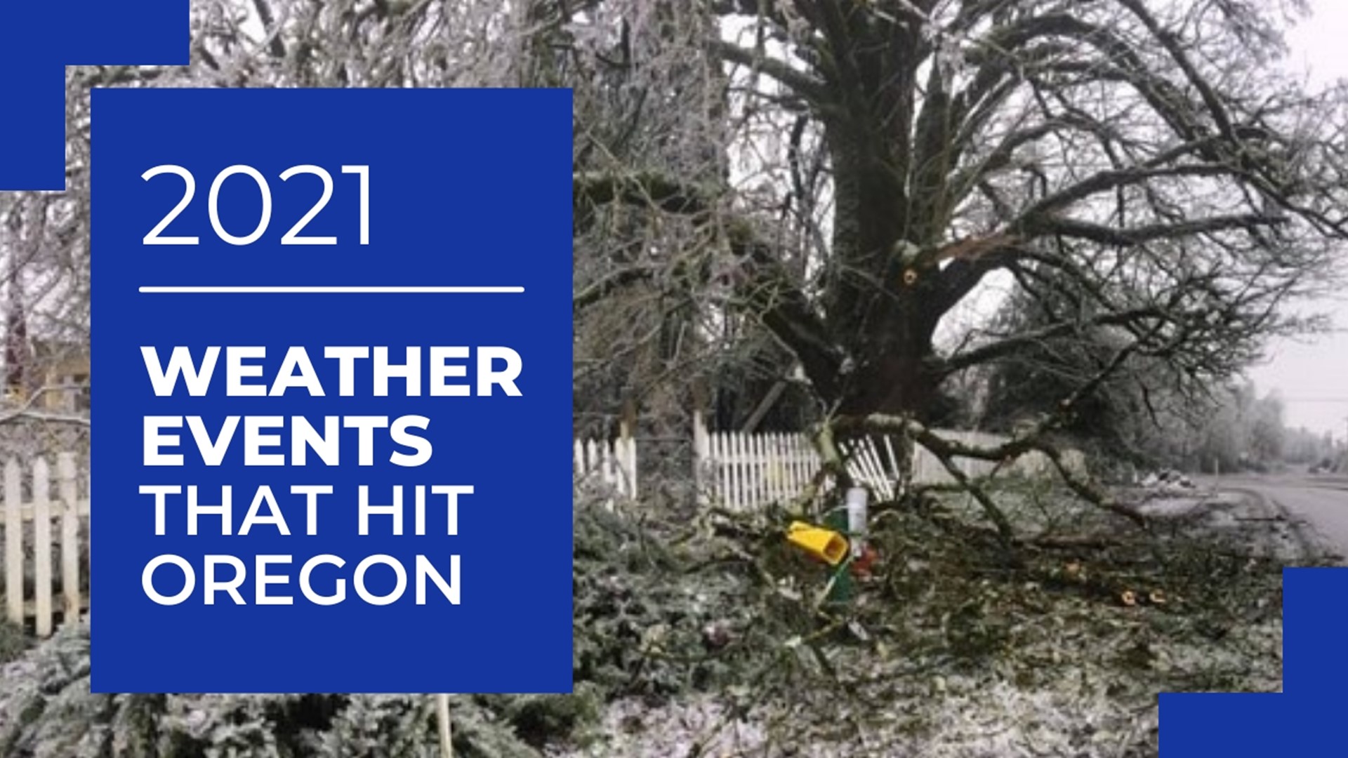 KGW's most-watched and most-read weather stories of 2021 were all related to five extreme weather events.