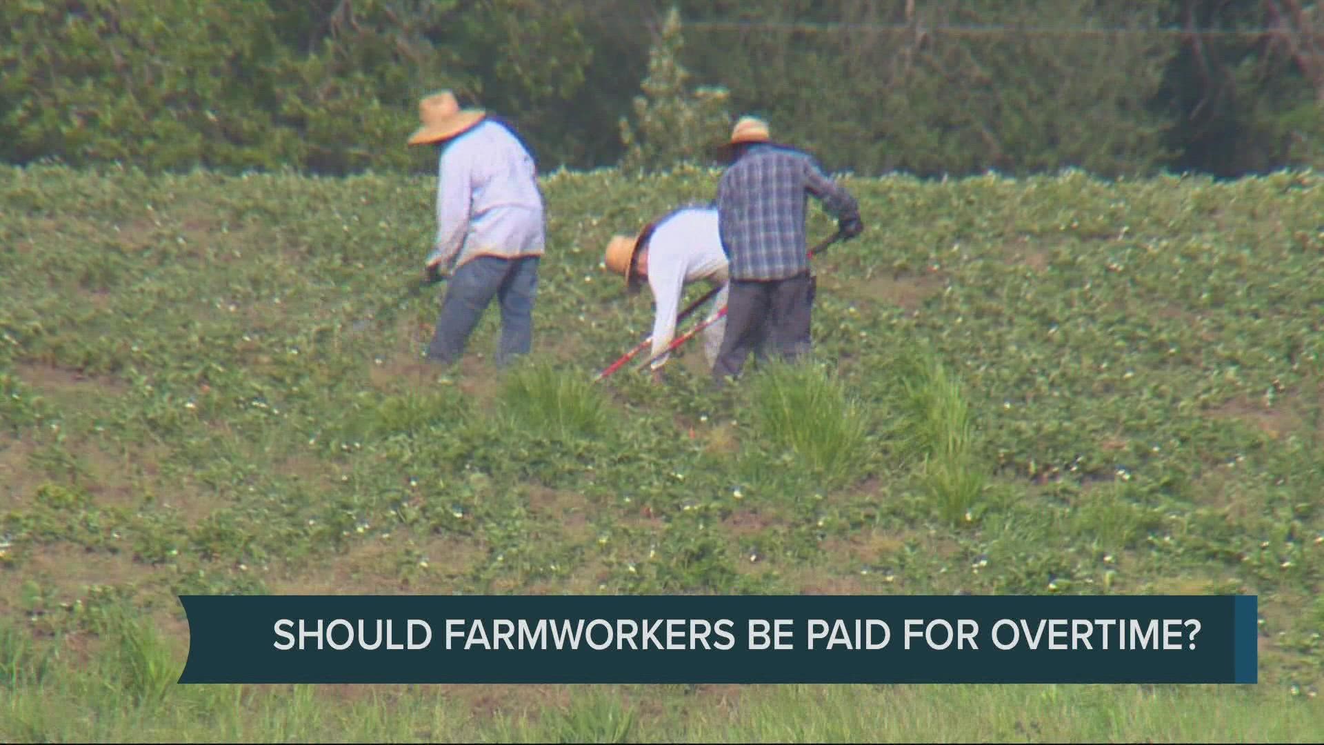 A farmer says if the bill passes, she’d likely have to move to a machine picker. Union officials say it’s a gradual change and there are provisions to help farmers a