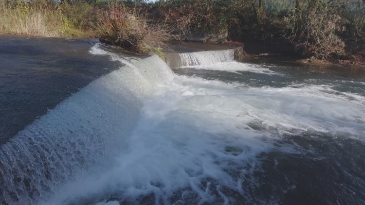 Balm Grove Dam along Gales Creek to be removed this summer