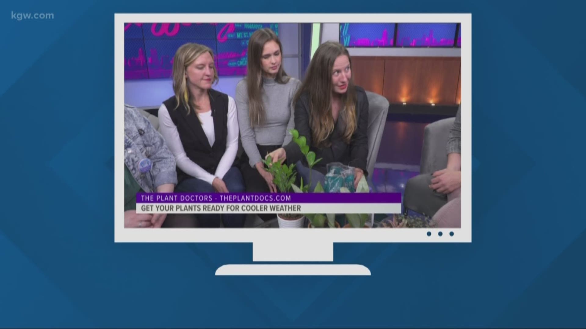 Need some help with this week's #AdultingChallenge? The Plant Doctors revealed one of their biggest plant care secrets during the commercial break.
theplantdocs.com