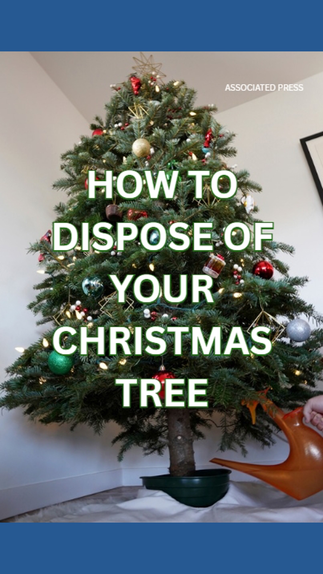 How to dispose of your Christmas tree | kgw.com