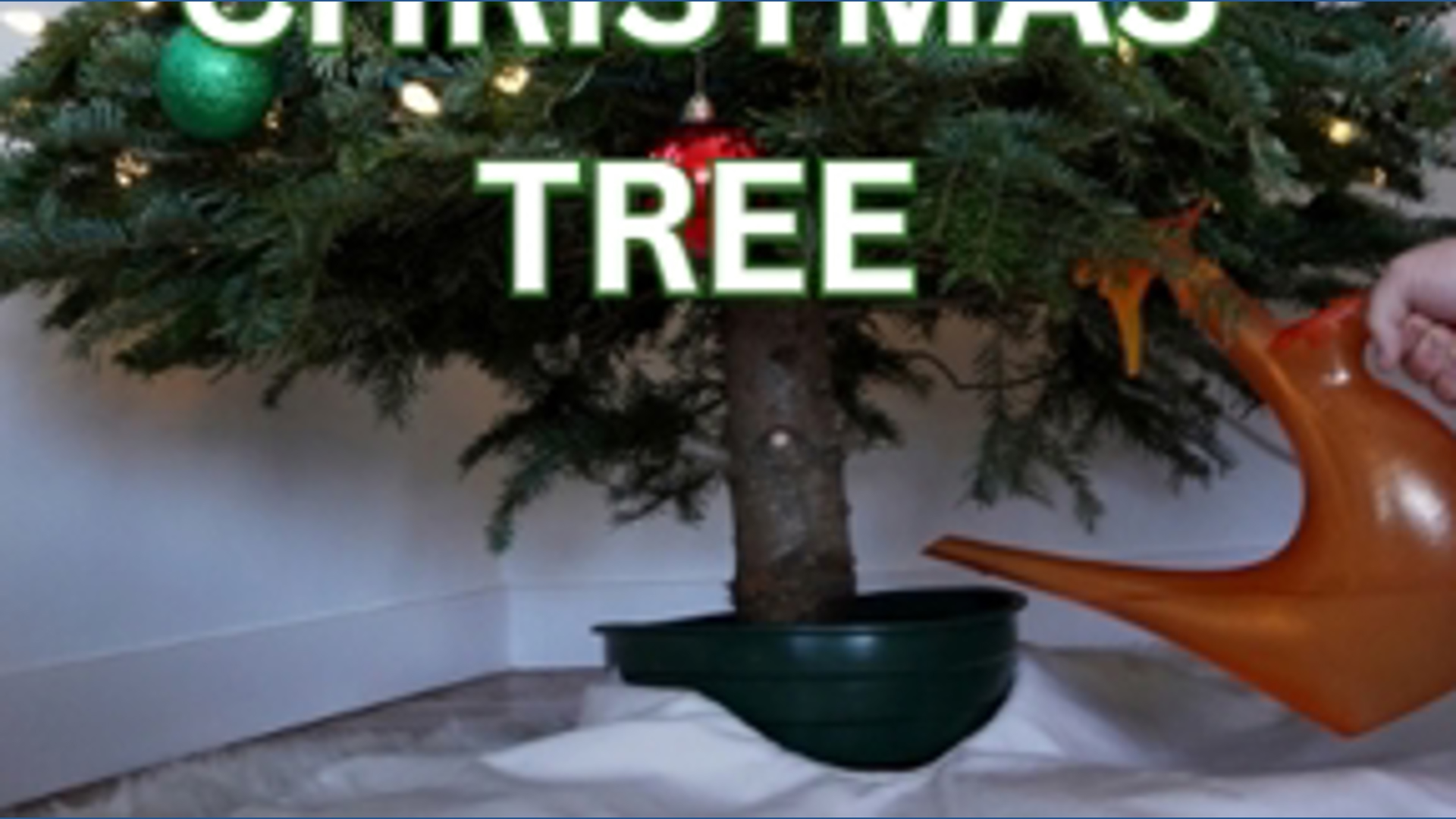 How to dispose of your Christmas tree | kgw.com
