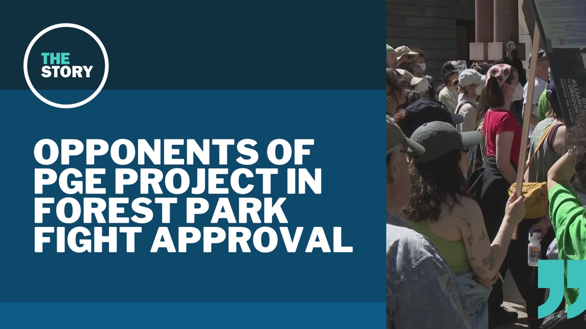 Portland City Council hears appeal of PGE plan to cut trees in Forest ...