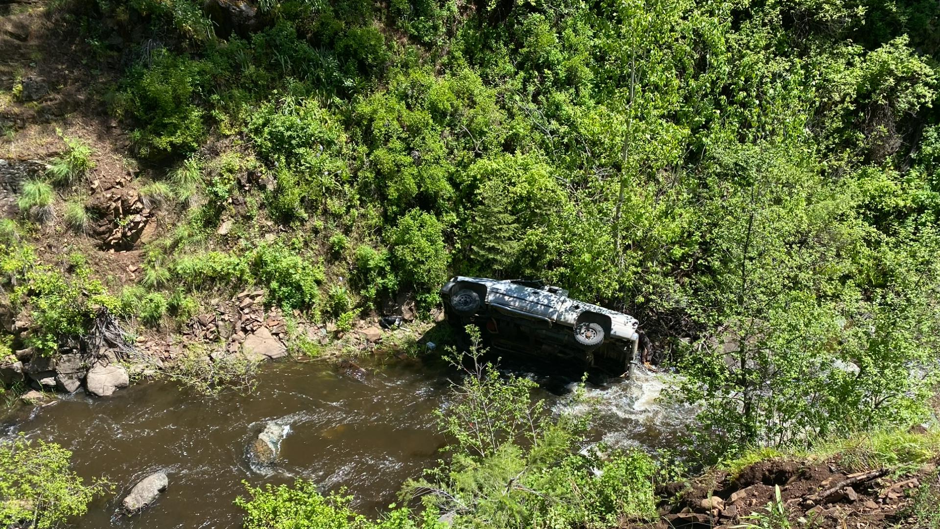 A man and his four dogs accidentally drove off an embankment, stranding him in the woods overnight in the Wallowa-Whitman National Forest.