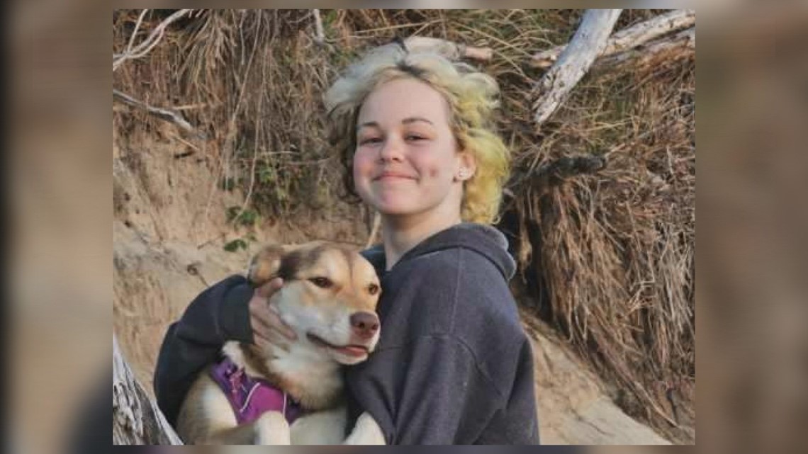 Family of missing teen have been searching for Ty Bouchard - Vimarsana News