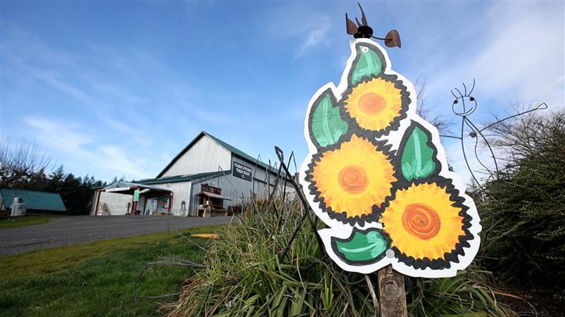 Farmland or tourist attraction? Oregon lawmakers weigh bill on farm stores, revenue limits