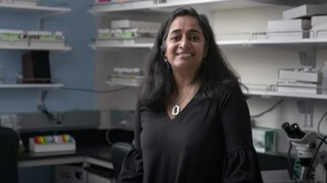 'It actually empowers scientific discovery': Oregon professors focus on equity, accessibility in STEM - Vimarsana News