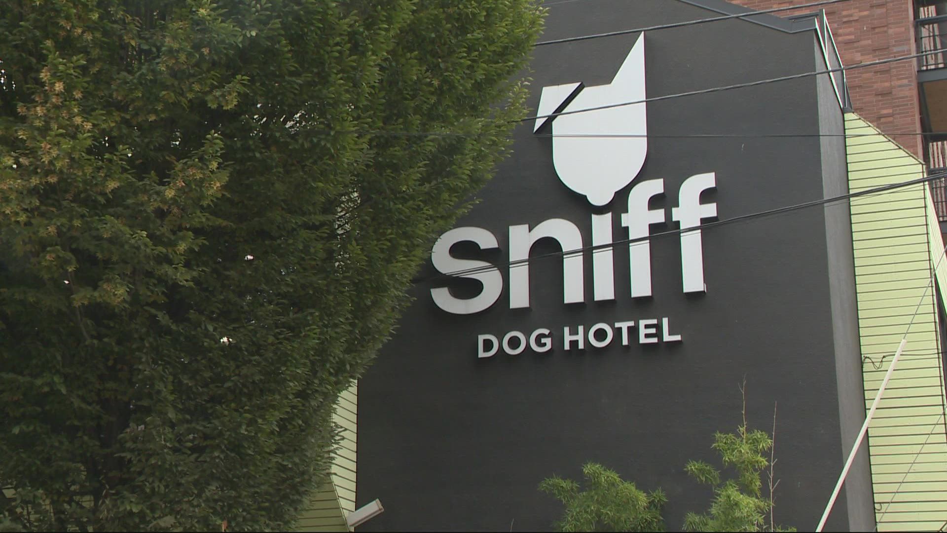 Cory Murry owns of Sniff Dog Hotel. Murry said he waited nearly two hours for police to respond after a man physically threatened staff and customers.