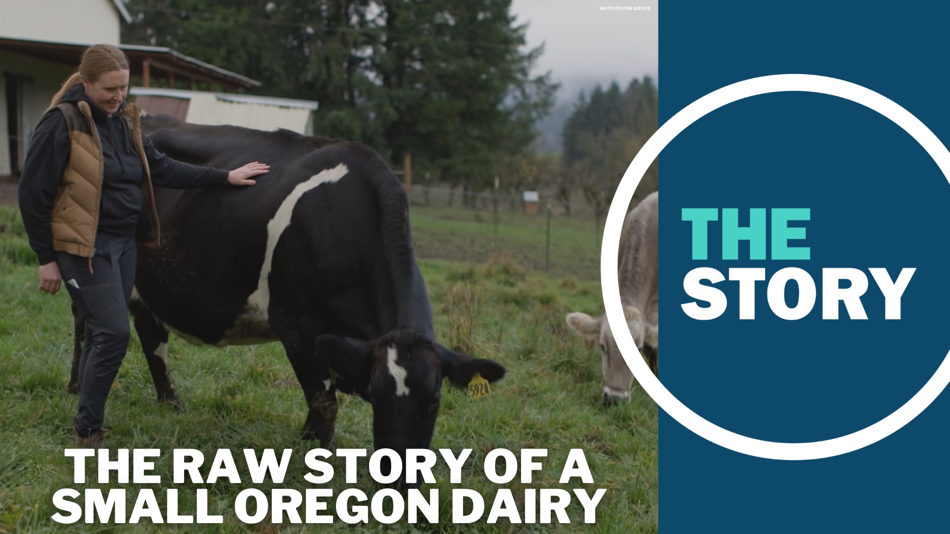 Sarah King, the owner of a tiny Yamhill County dairy farm, fought back against Oregon's push to tightly regulate small dairies. Her story took on a life of its own.