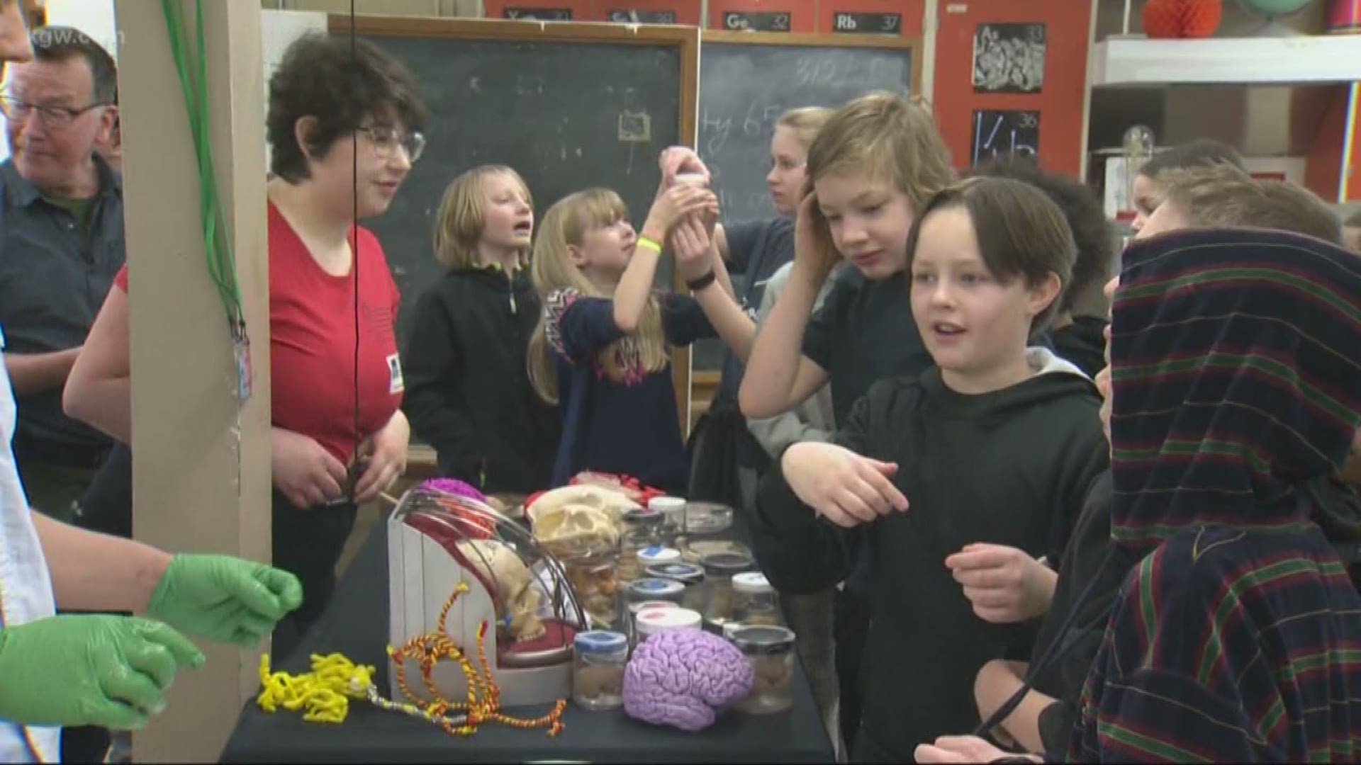 Take a look at a program getting kids excited about neuroscience.