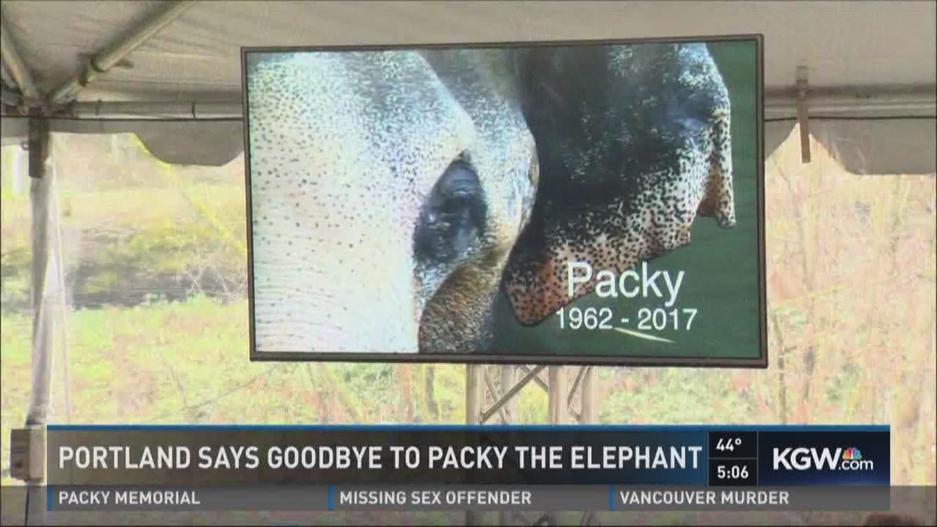 Portland says goodbye to Packy the elephant