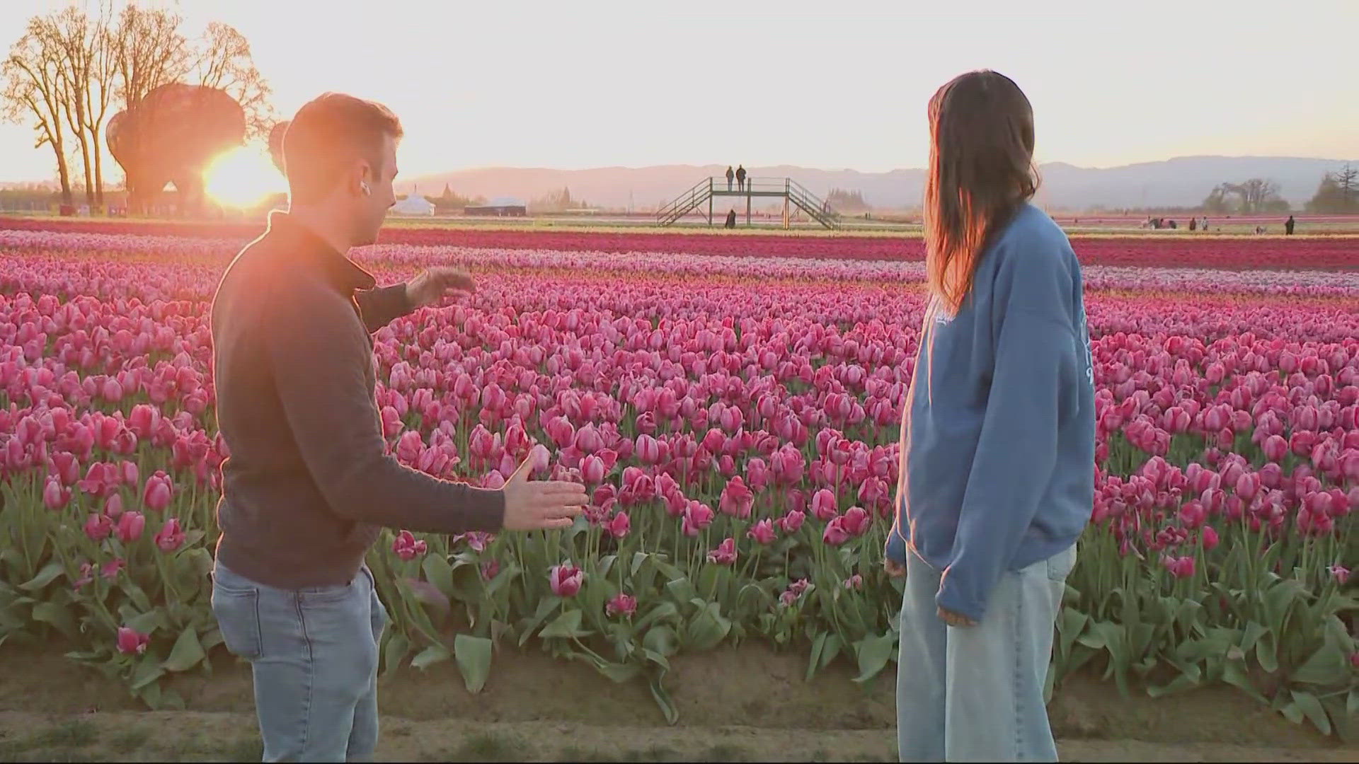 Police in South Africa say a school bus crash has killed at least 12 ...