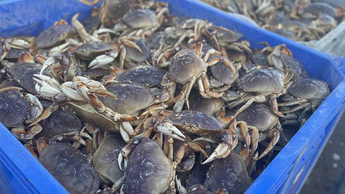 Dungeness crab season on Oregon coast kicks off after delays