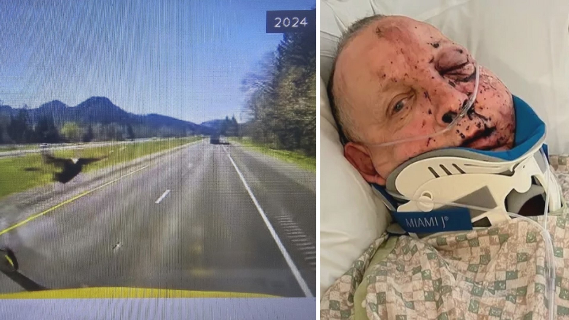 David Duell was driving on I-5 in Douglas County when the turkey crashed through the front windshield and hit him in the face.