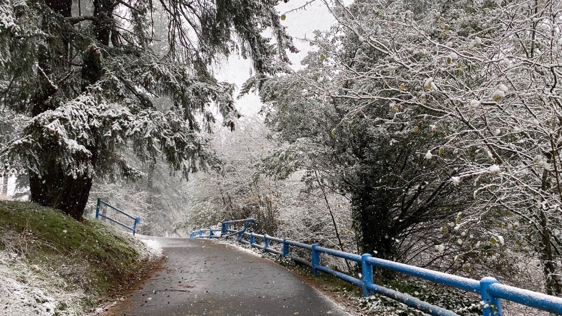 Photos Snow in Portland