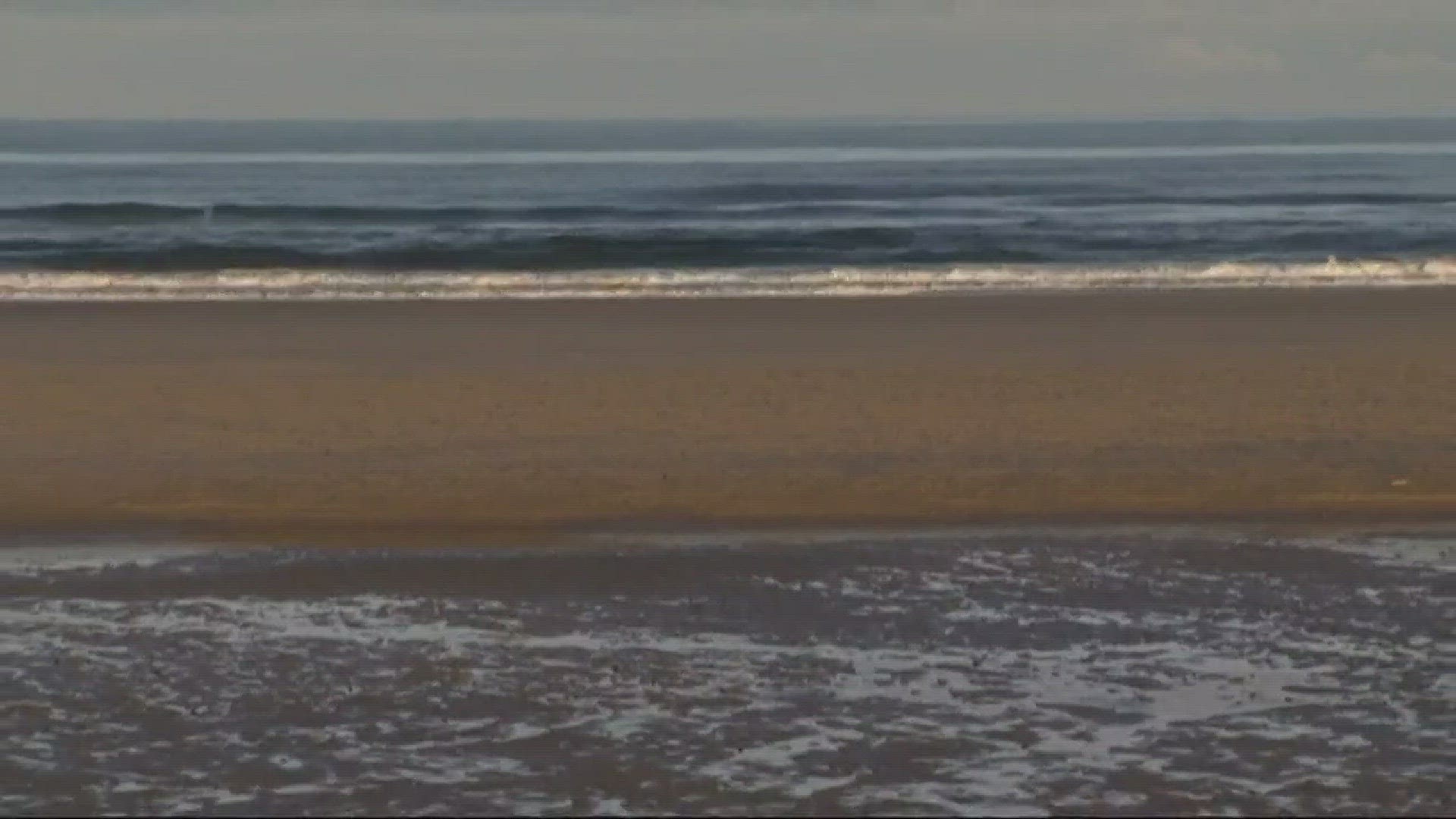 Multiple Shark sightings off  Cannon Beach