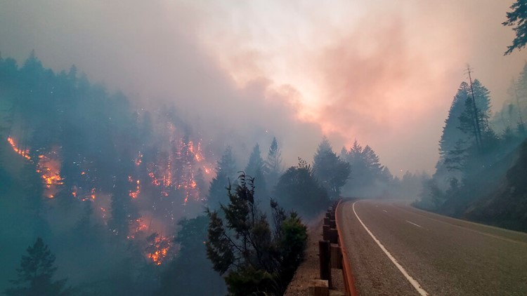 New wildfire information app launches in Oregon