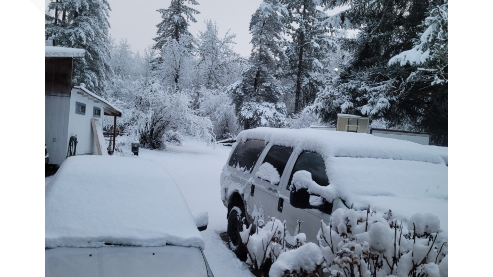 Tourists visit the coast range to see Valentine's Day snow | kgw.com